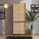 ΠΑΠΟΥΤΣΟΘΗΚΗ FLANNAN 2K4V ARTISAN OAK/ΜΑΥΡΟ MATT ΧΡΩΜΑ 80x40x205εκ